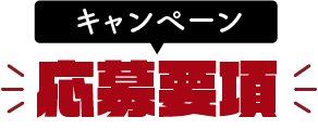 キャンペーン応募要項