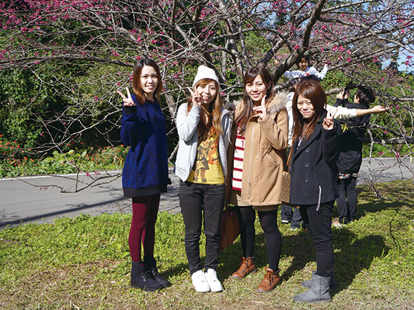ビーゴ ダイハツ かわいいSUV♪ さくちゃん（右から2番目） Okinawa's SnapShot
