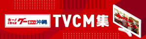 グーネット沖縄の放映中TVCMはここからチェック！