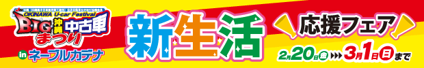 BIG沖縄中古車祭り